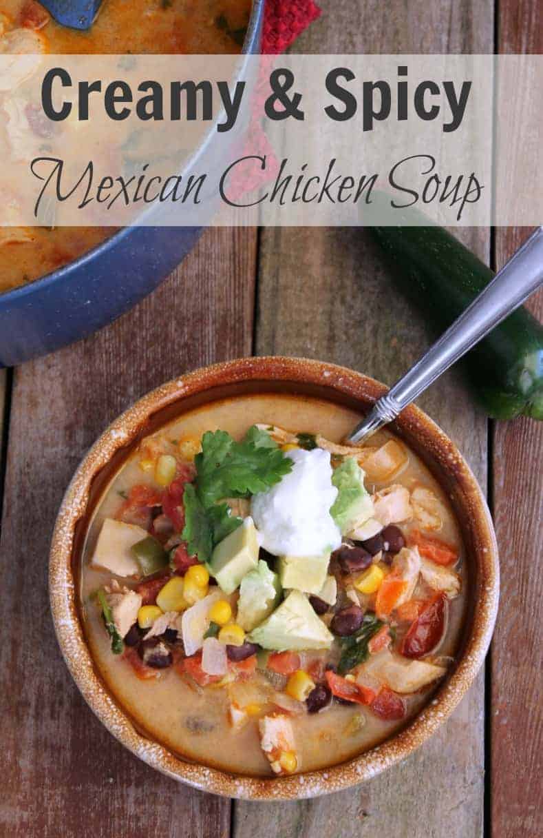 Creamy and Spicy Mexican Chicken Soup