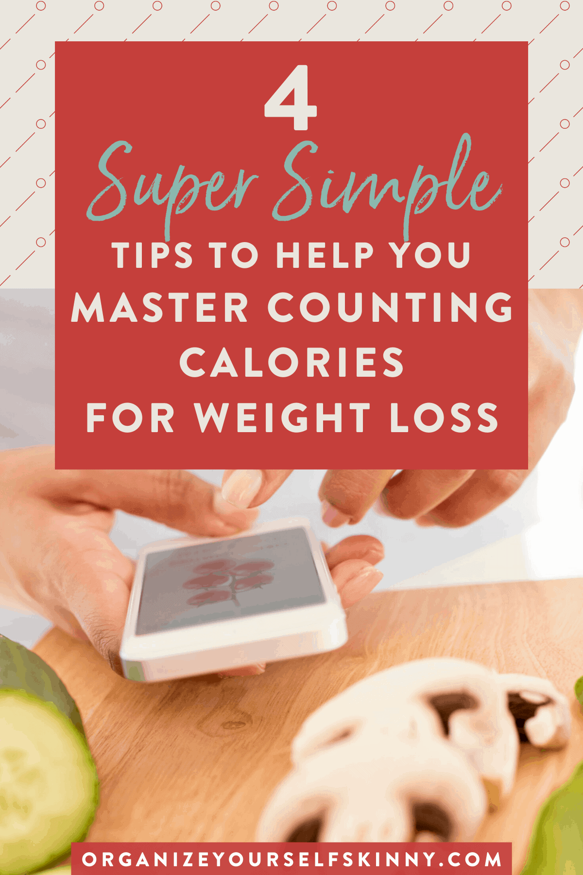 How To Count Calories Organize Yourself Skinny