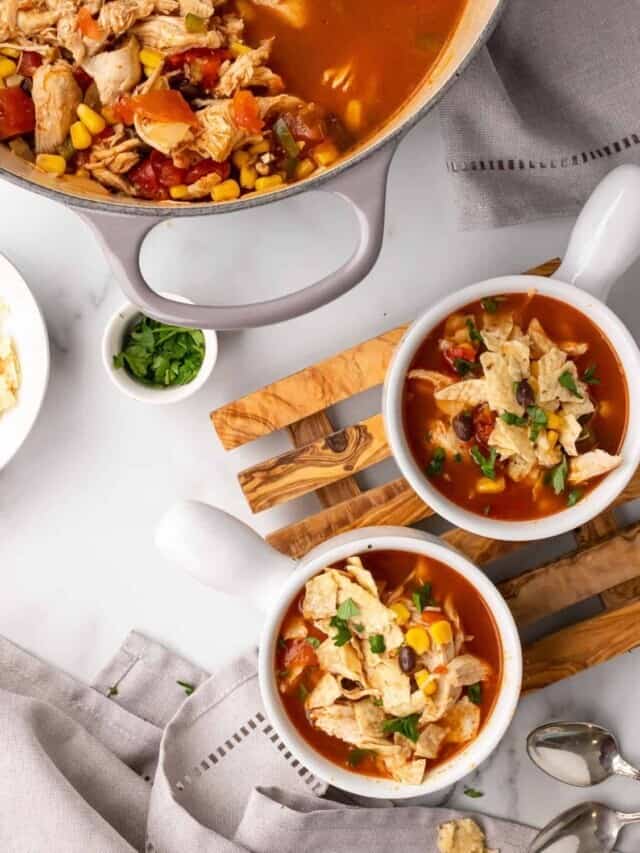 Easy Chicken Tortilla Soup Recipe