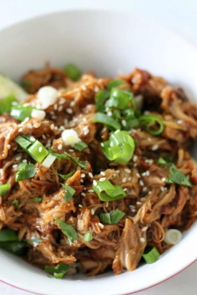 Slow Cooker Chicken Teriyaki - Organize Yourself Skinny