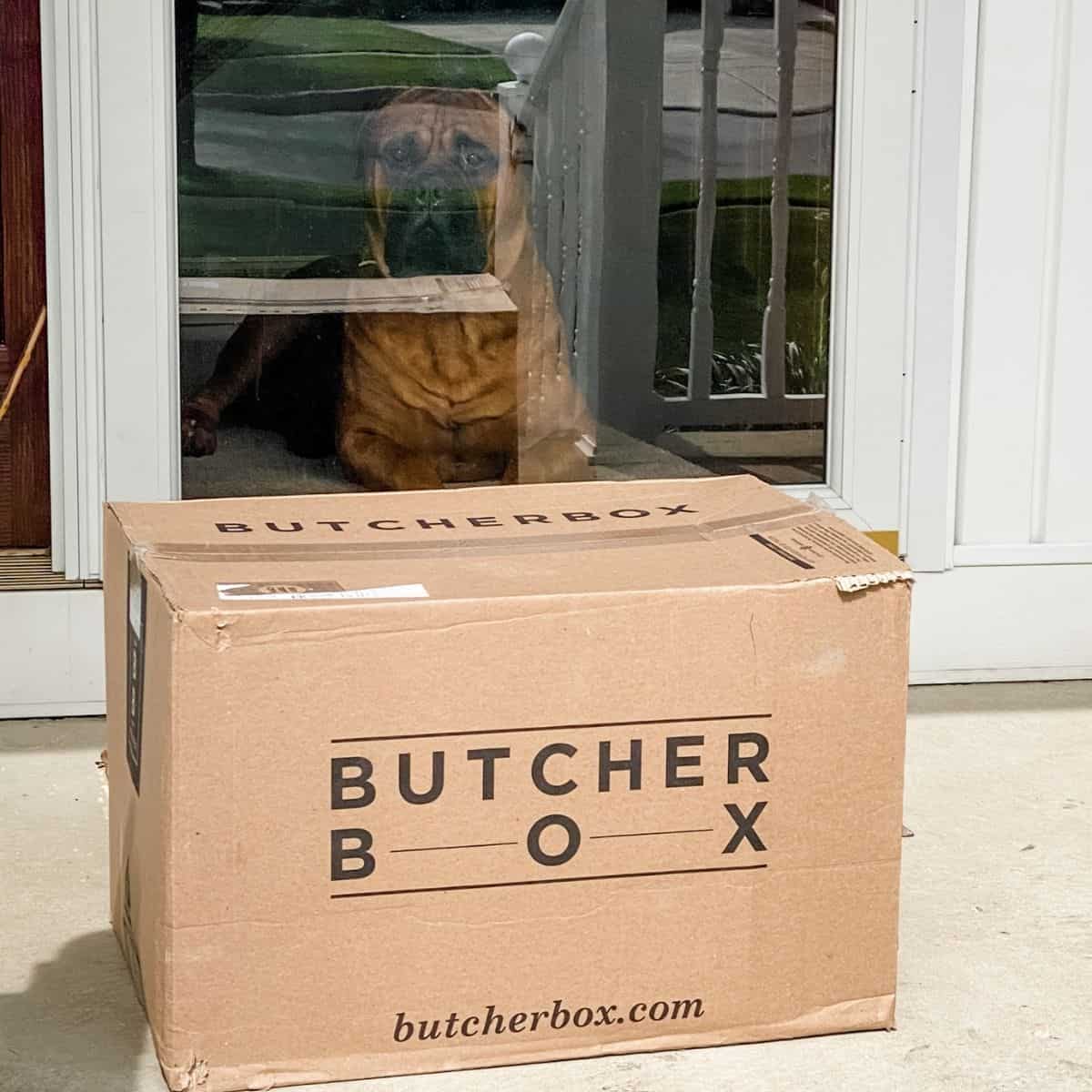 Hand's on Review: My Experience With ButcherBox - Kitchen Swagger